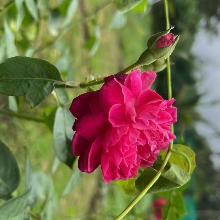 Chaitanya Farms คาร์จัต ภายนอก รูปภาพ